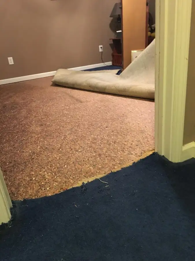 Carpet pad removal revealing water damage during Water Mitigation Services in Milo