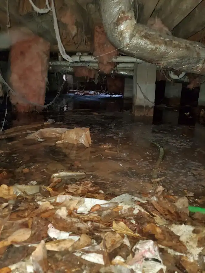 Crawl space flood assessment for Leak Detection & Repair in Milo
