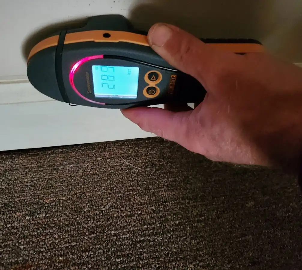 Moisture detection at baseboard during Sewage Cleanup & Sanitation in Milo